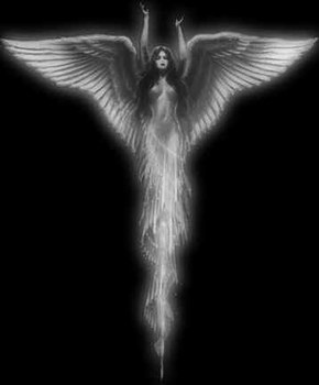une bell ange